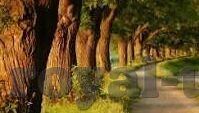 在哪网投百家乐的网站-寻找可靠的网络投注平台，以百家乐为例