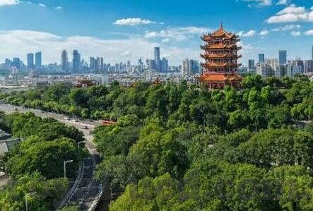 足球比赛比分计算-足球比赛比分计算的科学与艺术，规则、技术与策略的交织
